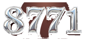 8171 logo